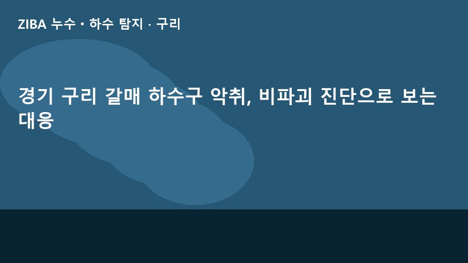 경기 구리 갈매 하수구 악취, 비파괴 진단으로 보는 대응