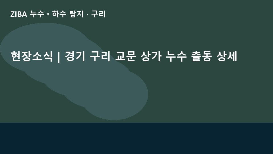 현장소식 | 경기 구리 교문 상가 누수 출동 상세