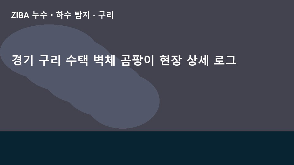 경기 구리 수택 벽체 곰팡이 현장 상세 로그