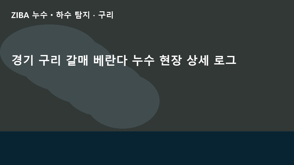 경기 구리 갈매 베란다 누수 현장 상세 로그